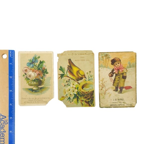 Victorian 3 Trade Cards Floral Bouquet Bird Nest Child With Sled Advertisement - Picture 9 of 10